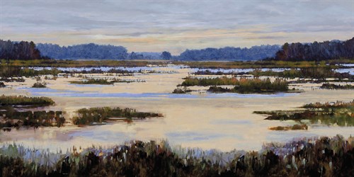Calm Marshes - Mark Chandon