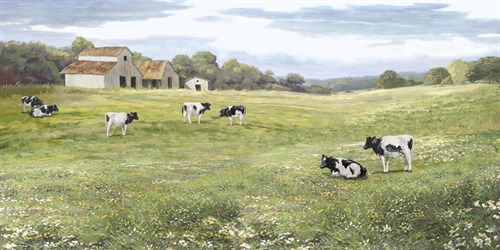 A Day in the Daisy Field - Mark Chandon