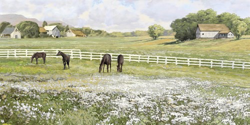 A Day in the Paddock - Mark Chandon