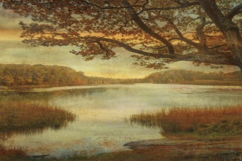 Landscape Lake - Mark Chandon