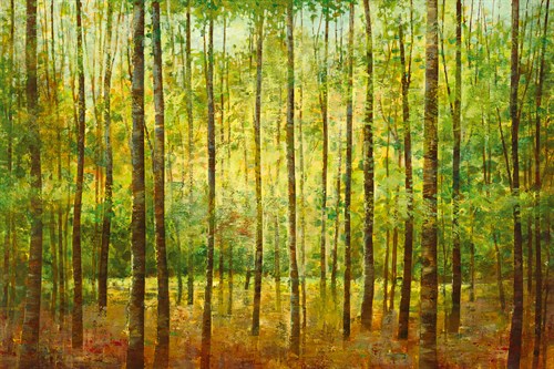 Spring Glade - Georges Generali