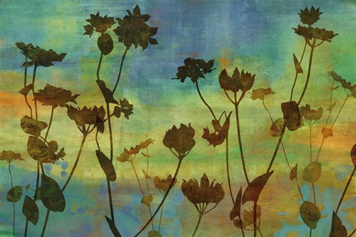 Wild Flowers III - Tania Bello