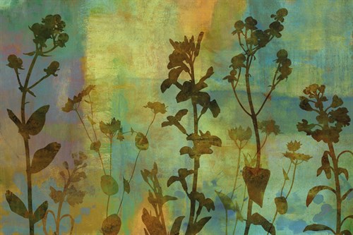 Wild Flowers IV - Tania Bello
