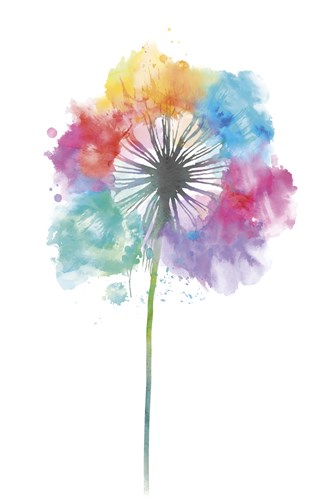 Colour Wishes - Justin Park
