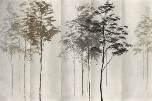 Saplings In The Mist - Mark Chandon