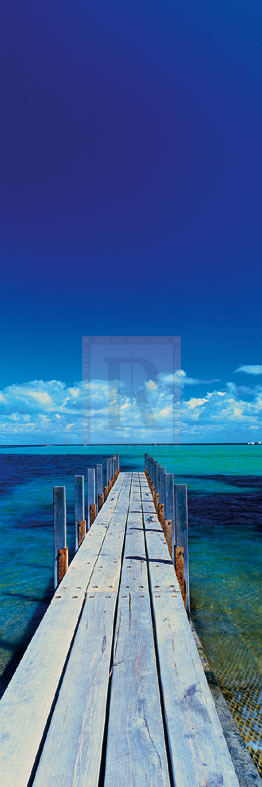 Into The Blue - Nathan Secker