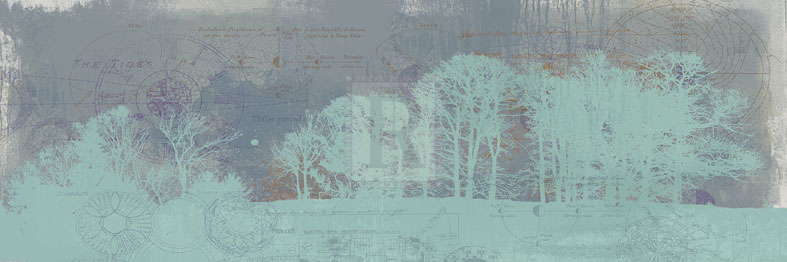Tree Horizon II - Ken Hurd