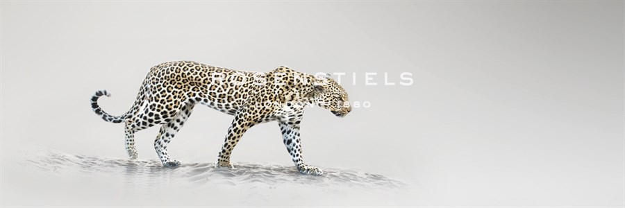 White Leopard - Bobbie Goodrich