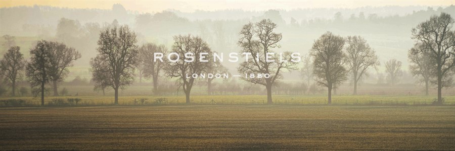 Misty Morning - Ella Lancaster
