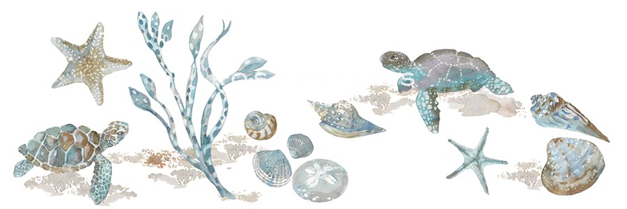 Sea Treasures - Turtles - Sandra Jacobs
