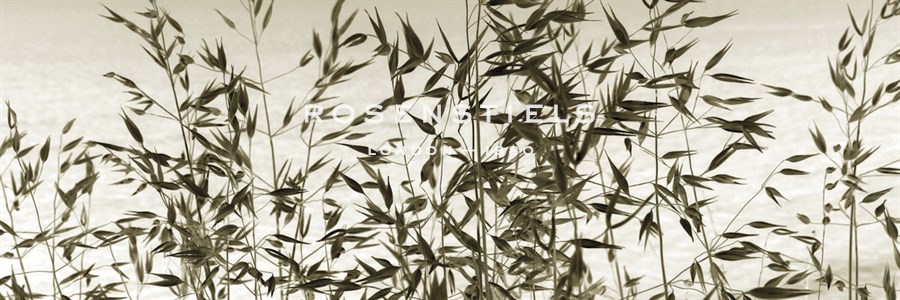 Patmos Organics VII - Tony Koukos