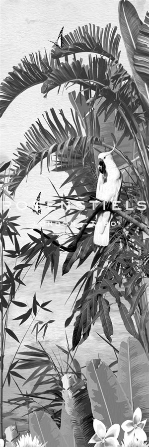Jungle Noir - Cockatoo - Amy Shaw