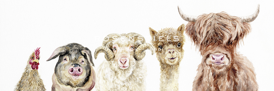 Farmyard Focus - Janie Howe