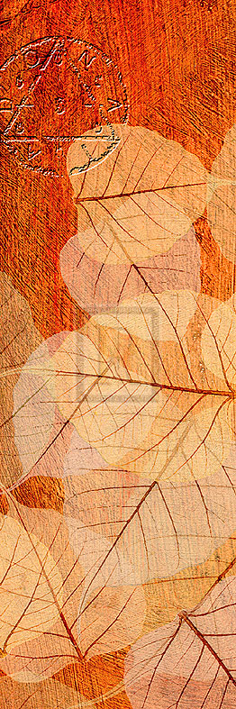 Falling Leaves I - Malcolm Sanders