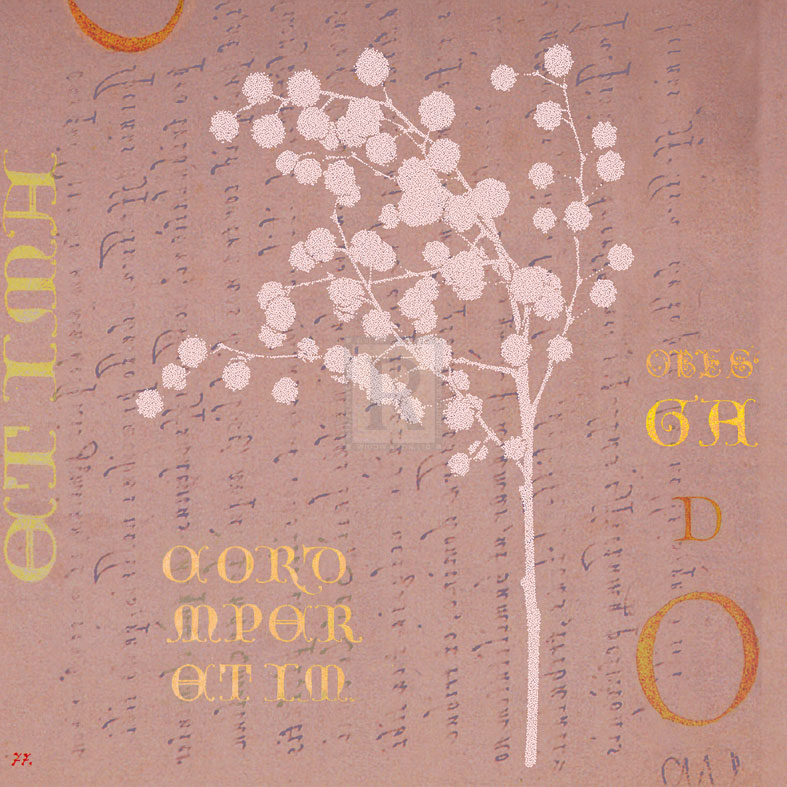 Mimosa Square II - Katja Marzahn