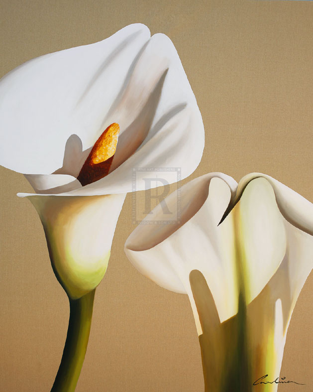 Smooth Lilies - Carolina Alotus