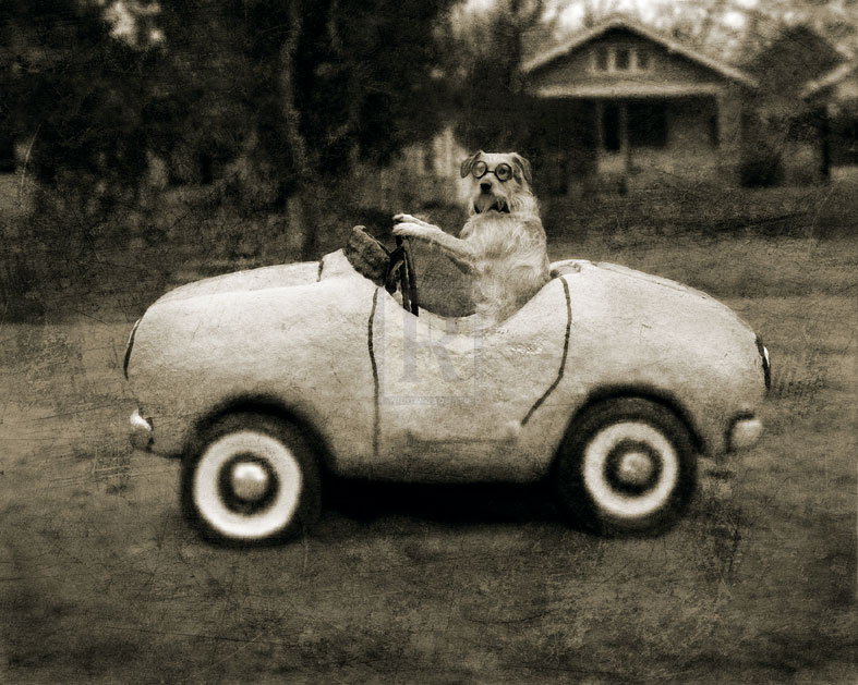 Ollie In His Car - Pete Kelly