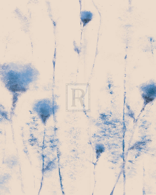 Dainty Blue - Tanuki