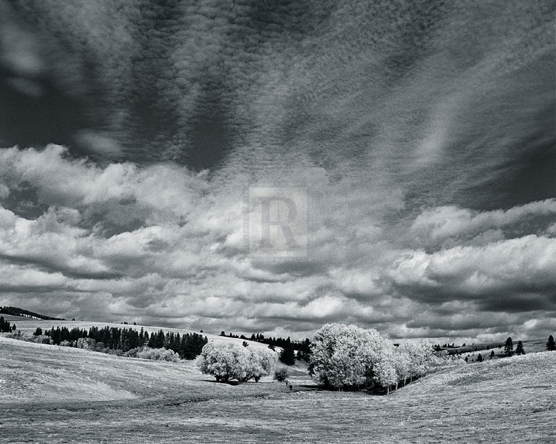 The Skies Above - Andrew Geiger