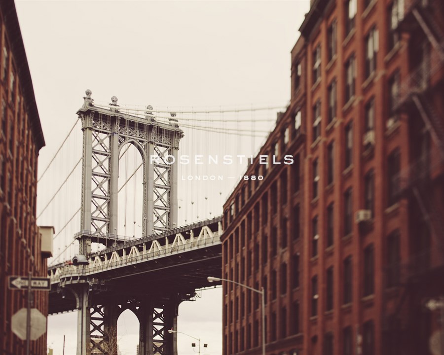 New York Suspense - Irene Suchocki