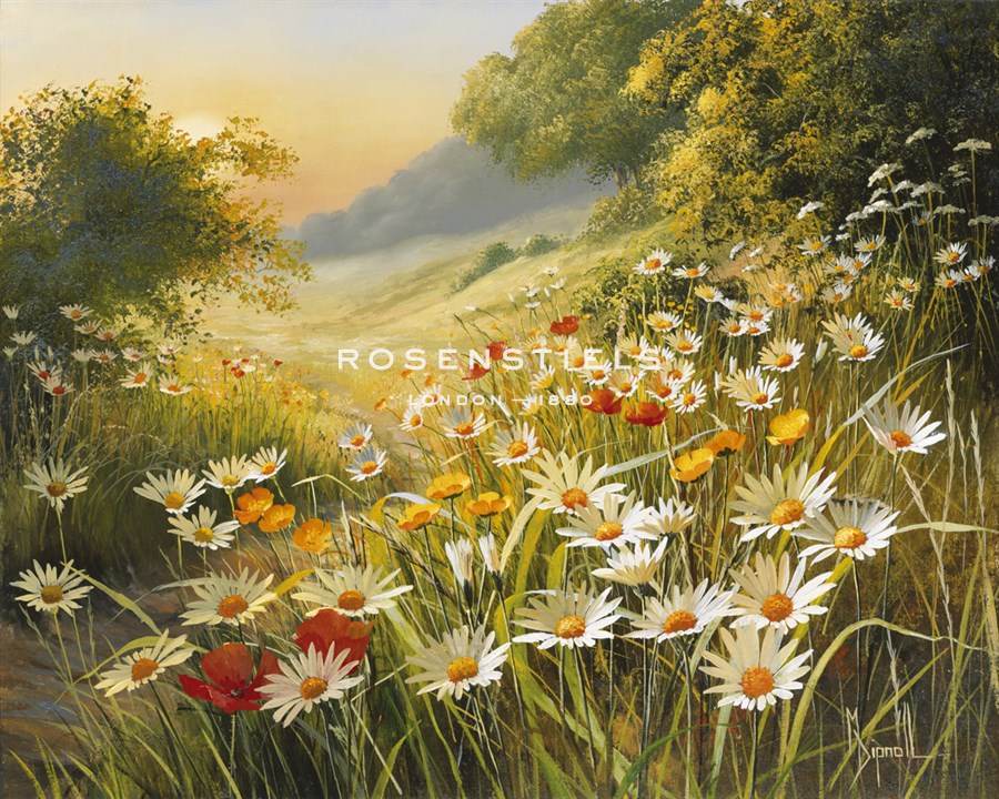 Evening Sun - Mary Dipnall
