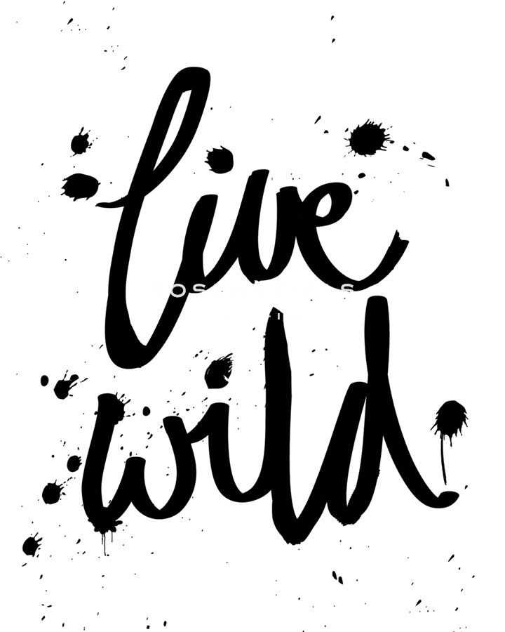 Live Wild - Sasha Blake