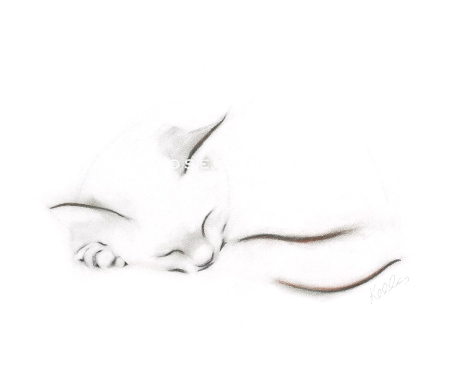 Dreams - Kellas Campbell