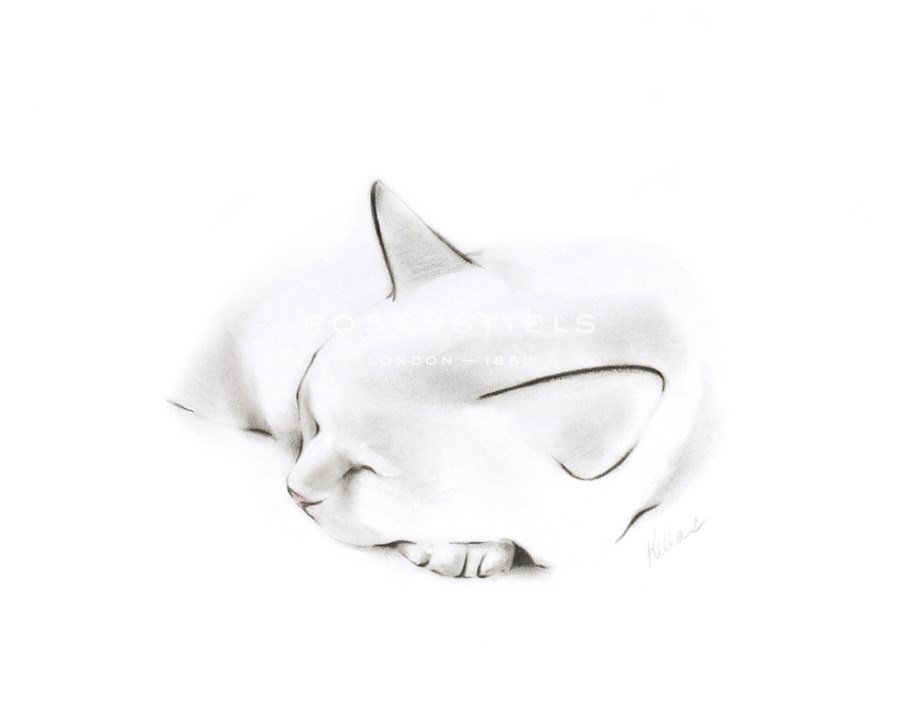 Slumber - Kellas Campbell