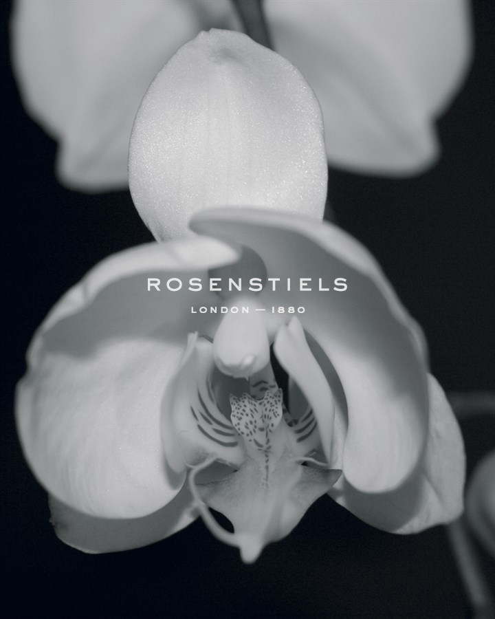 Night Orchid I - Tony Koukos