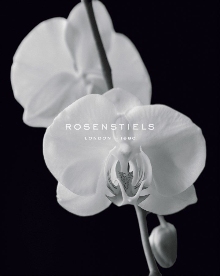 Night Orchid II - Tony Koukos