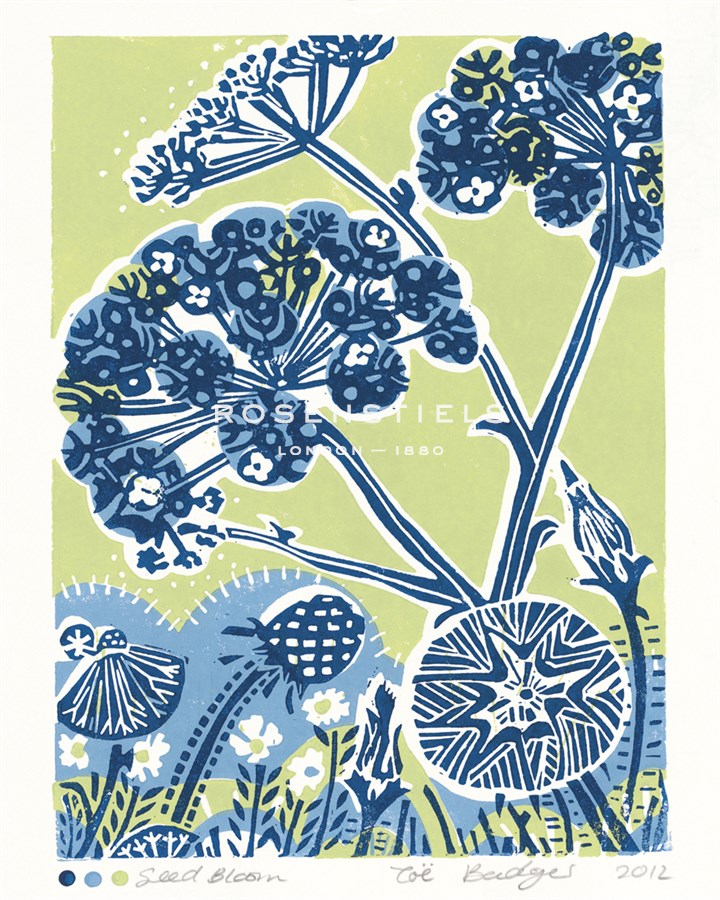 Seed Bloom - Zoe Badger