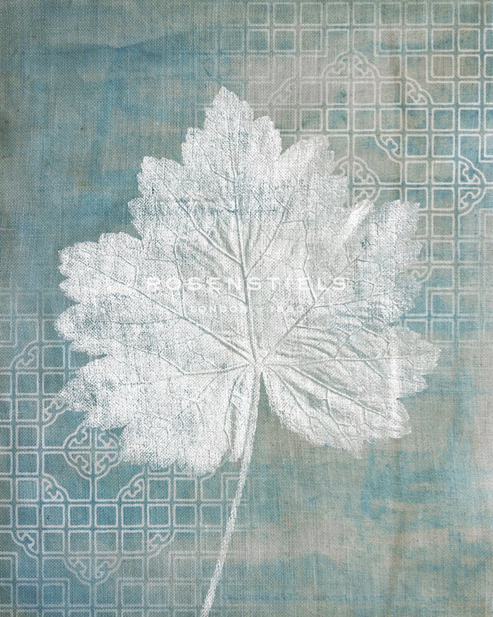 Wildwood II - Belle Poesia