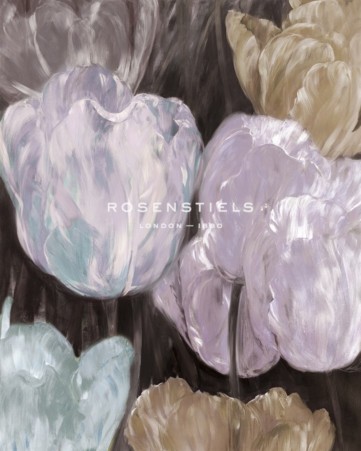 Tulip Haze - Philip Brown