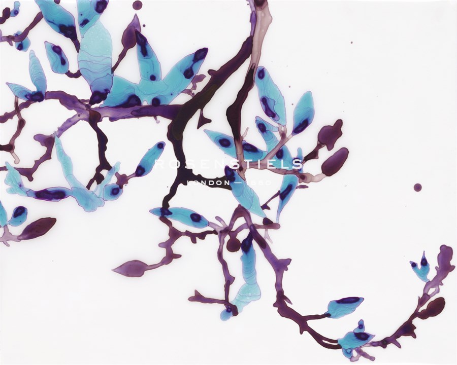 Teal Study - Jackie Battenfield