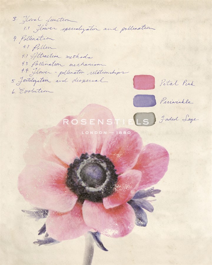 Botanical Study II - Belle Poesia