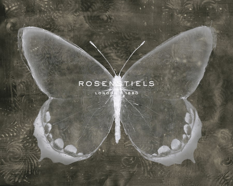 Moonlit Flight II - Belle Poesia