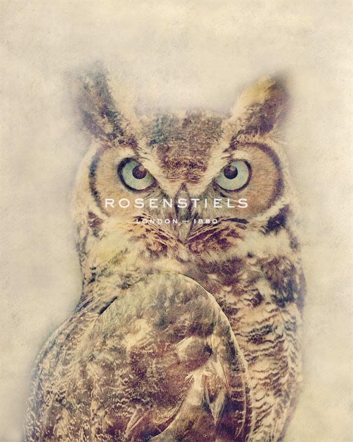Wise - Midori Greyson