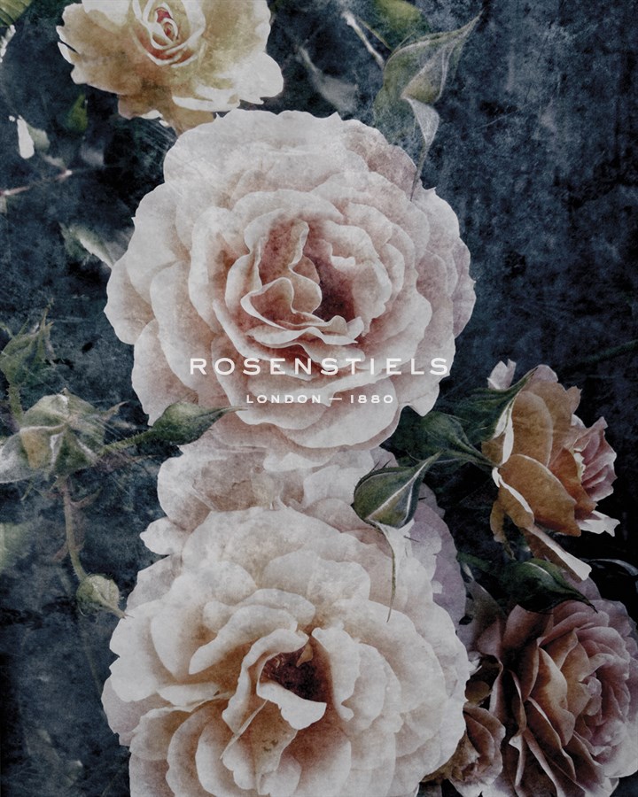 Rose Dream I - Collezione Botanica