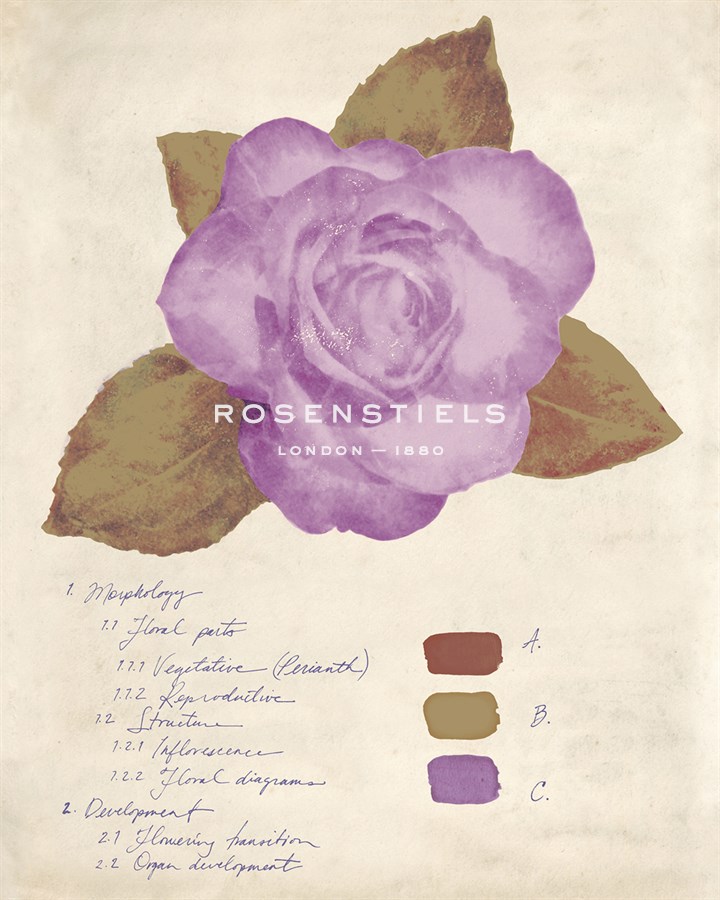 Botanical Wash I - Belle Poesia