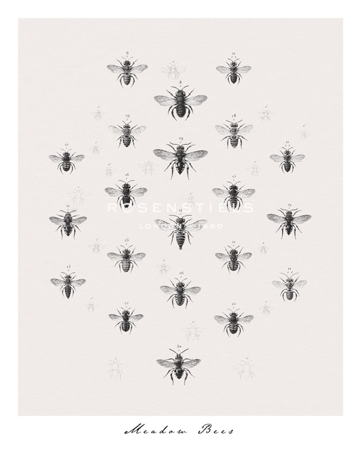 Meadow Bees - Maria Mendez