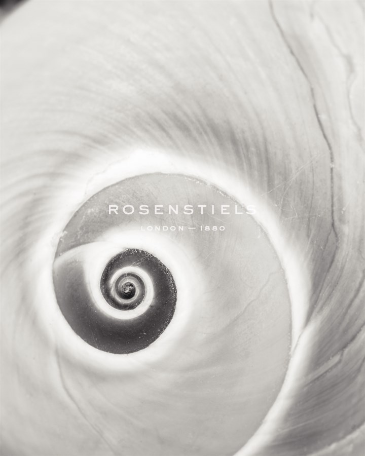 Spiral Shell - John Harper