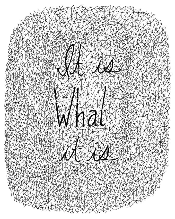 It Is What It Is - Virginia Kraljevic