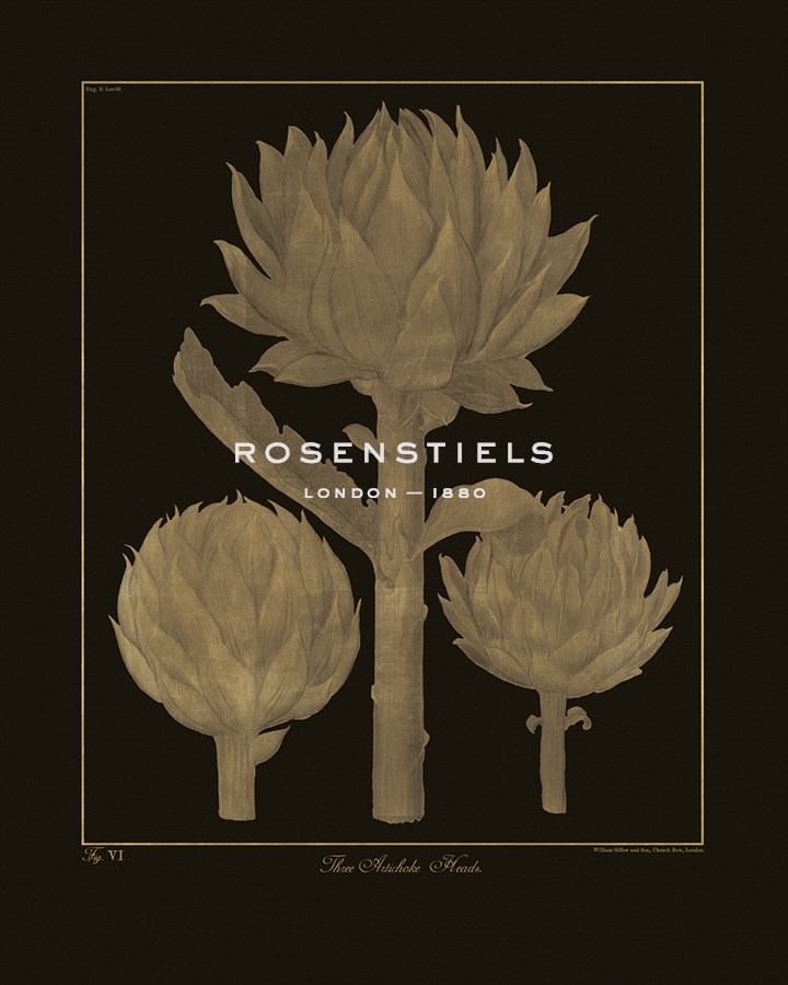 Botanicus - Artichokes - Maria Mendez