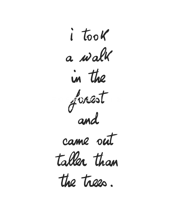 Forest Walk - Sasha Blake