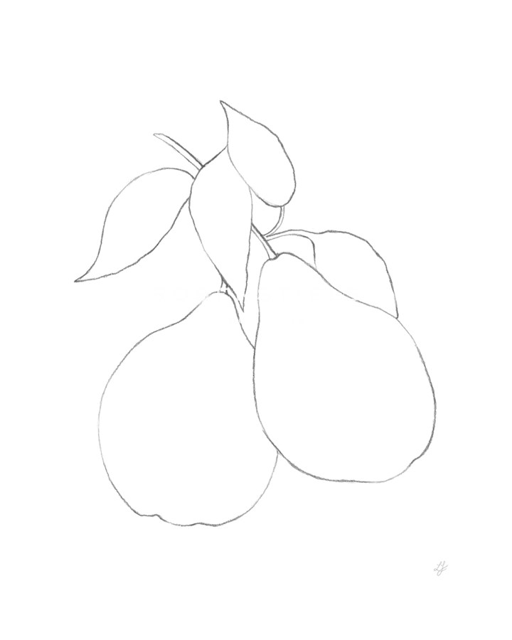 Garden Medley - Pear - Lucy Francis