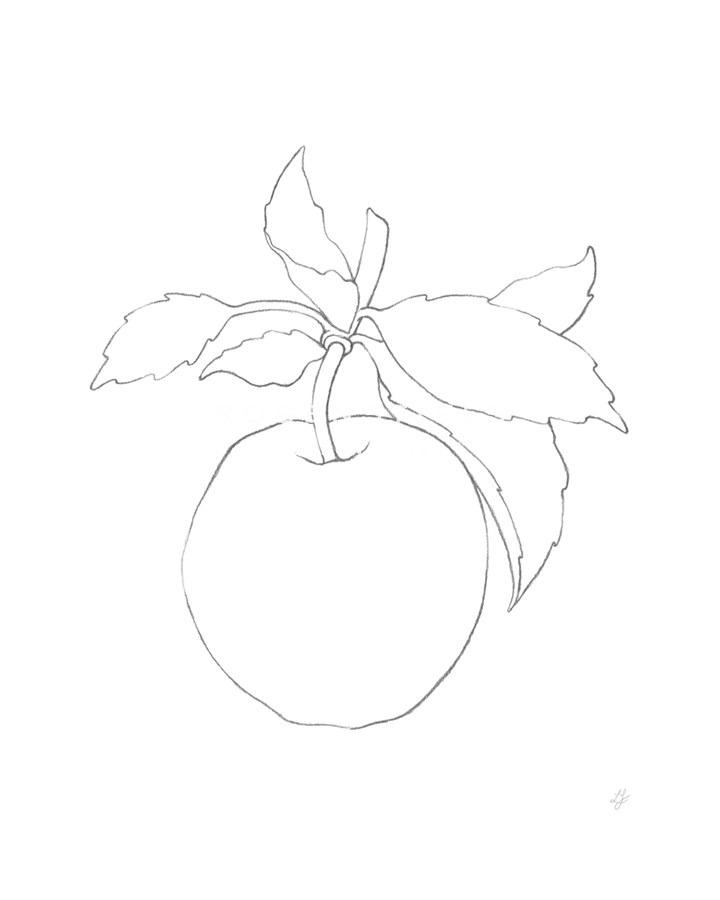 Garden Medley - Apple - Lucy Francis