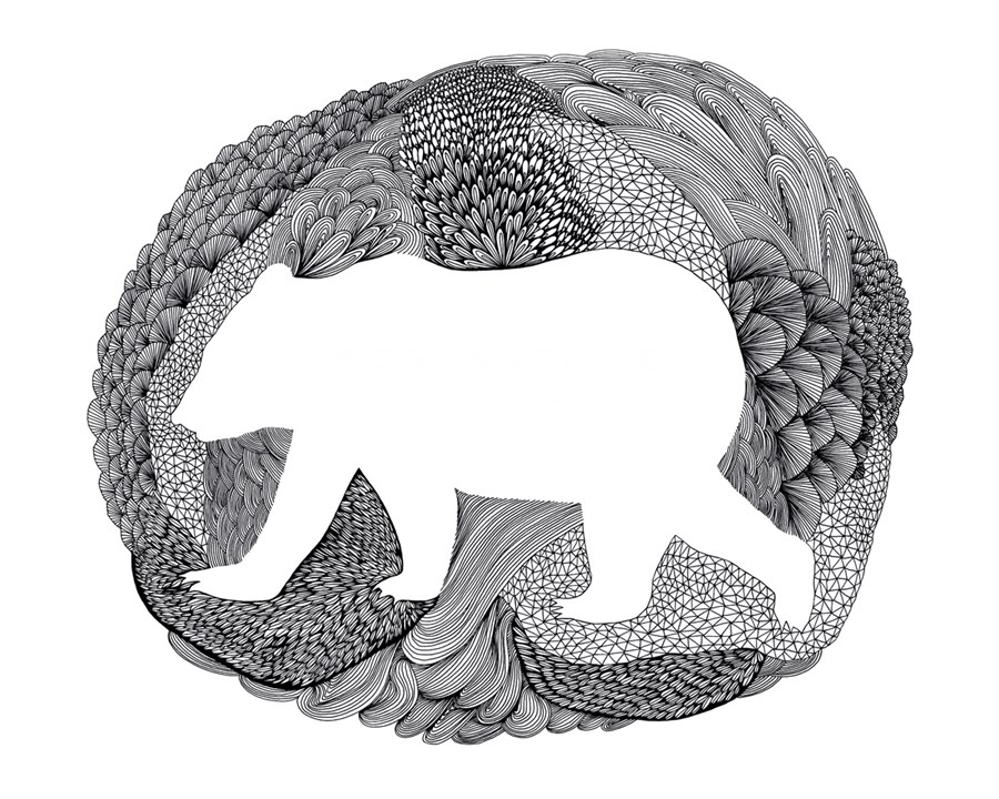Wandering Bear - Virginia Kraljevic