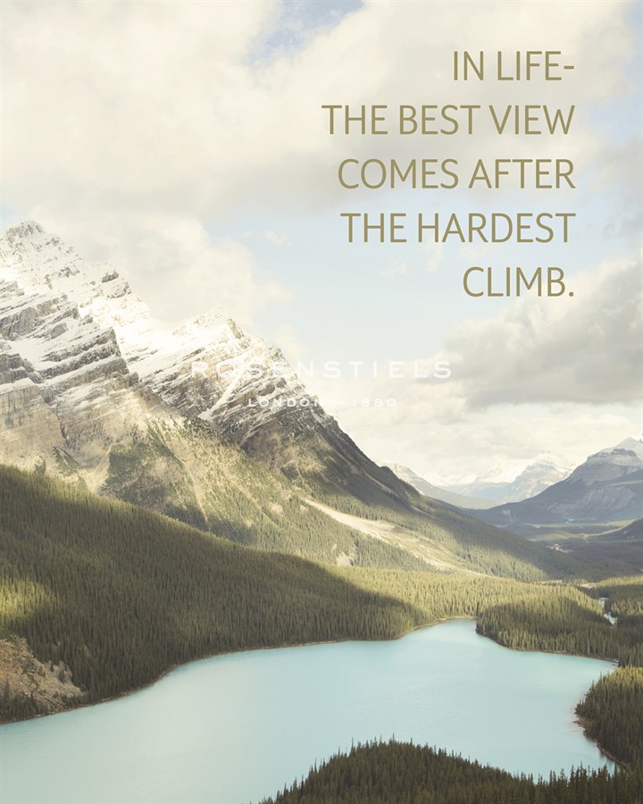 The Best View - Irene Suchocki