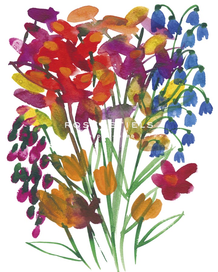 Spring Wild Flowers - Kim Colthurst Johnson