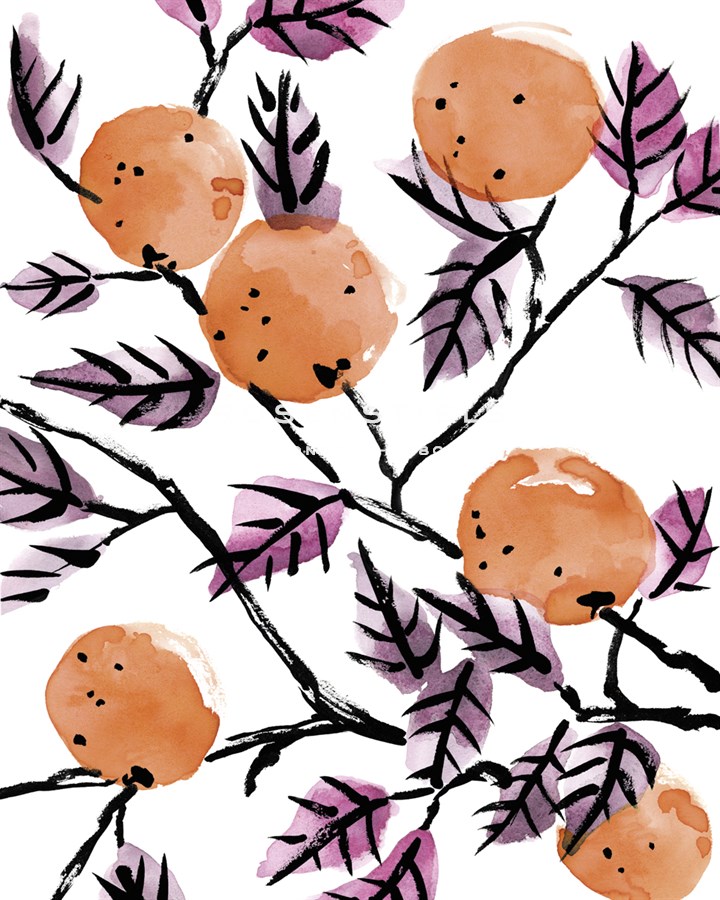 The Orange Tree's Gift - Kristine Hegre